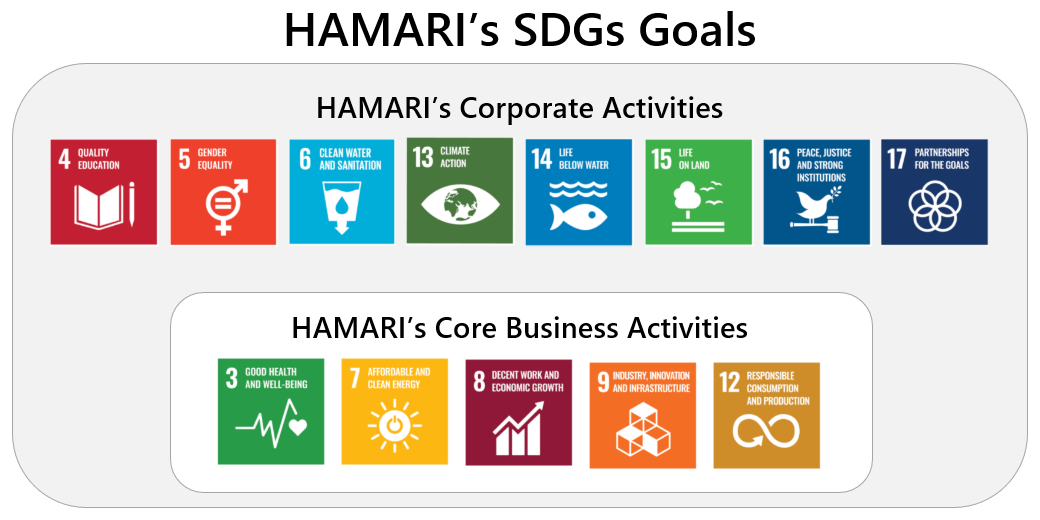 HAMARI's SDGs Goals