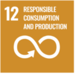 SDG 12