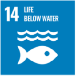 SDG 14