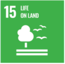 SDG 15