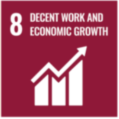 SDG 8