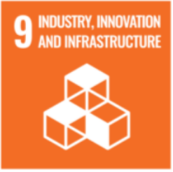 SDG 9