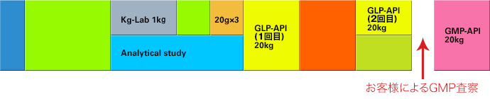 医薬品原薬 IND Project (全5工程)