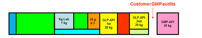 IND Project (全5工程)