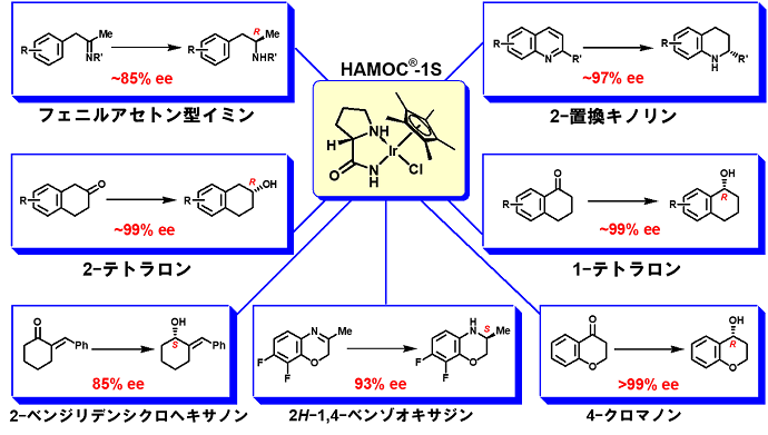 HAMOC 反応例